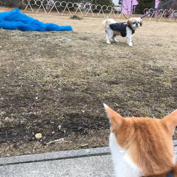 B52eef41 38dc 4bb1 916e a94cb0b83920 1516602329789