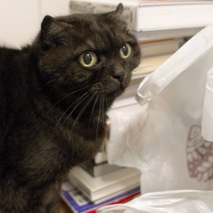 B52f7867 e42c 4c24 833c cf965e438720 1607442441601