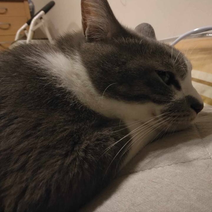 B52f7e04 a2e7 4299 867e 06a45a5d852d 1692365026821