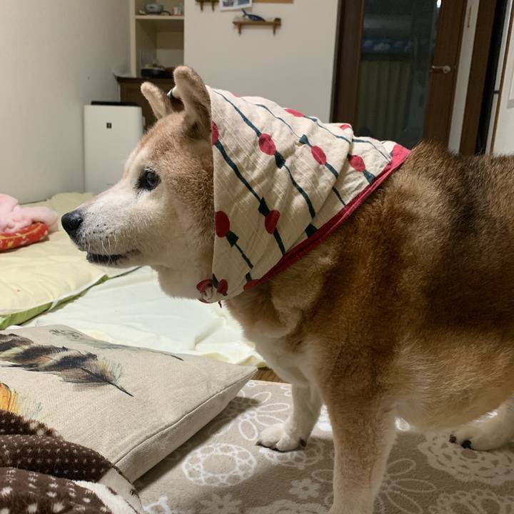 B52f81c0 e8a2 4668 afcb 00a63fce630a 1666955567863