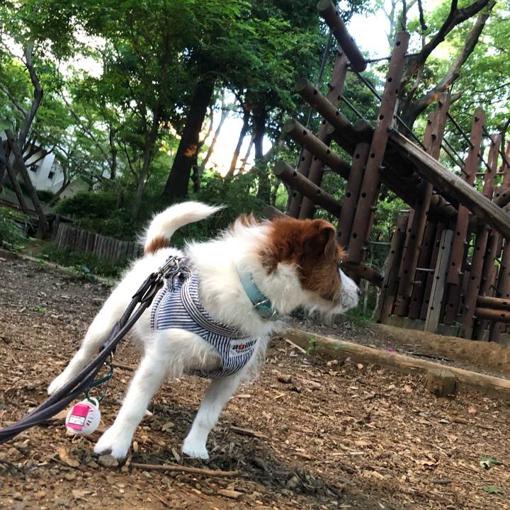 B52fa58f 71bd 4b4e 9883 f2f24d11dde9 1527973034205