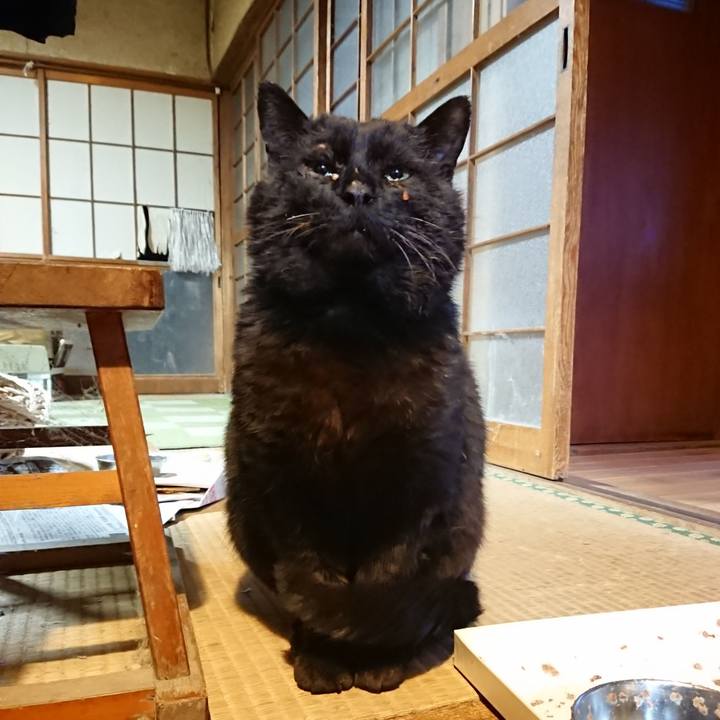 B52fb114 6256 402d afd2 0420f9b58c93 1617961418330