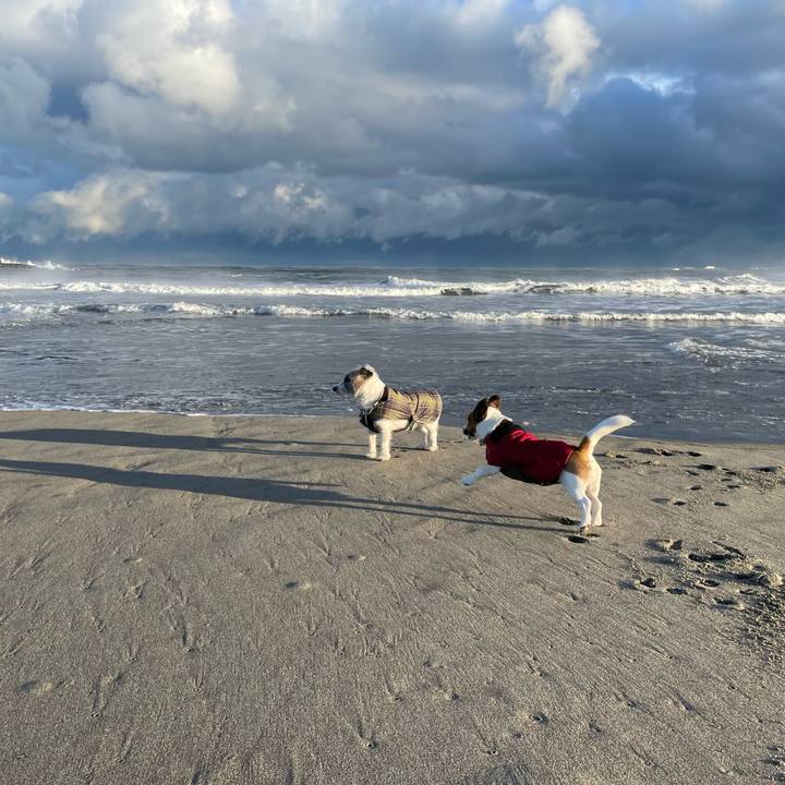 B52fef64 5e35 4f8b a3e5 70463cf9dcee 1672101898456