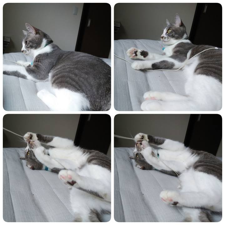 B53104c9 e65e 4d1b a50f 687c9744d0e6 1593987523250