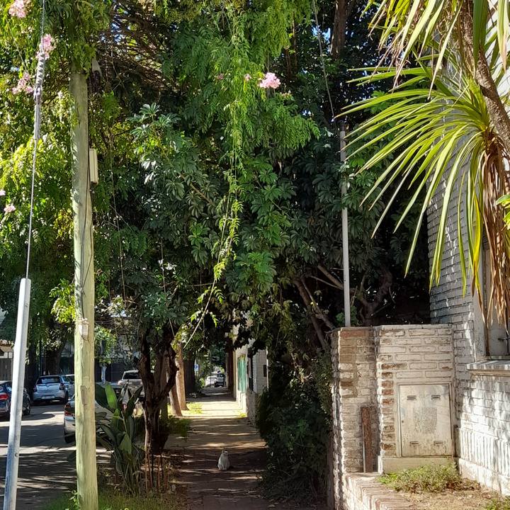 B53114f2 2d48 46a5 a15f 77a8cbd8dc9e 1772383348860