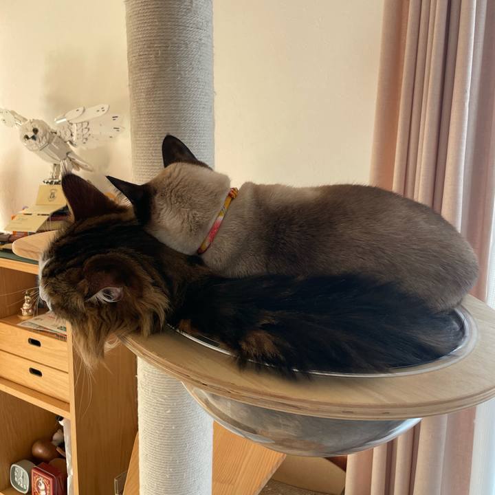 B53148c6 25f7 4b5c a4c8 f3f82c3e57bc 1761515636021