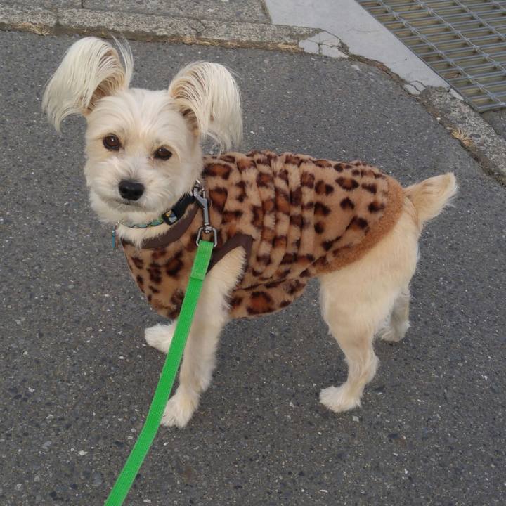 B5314a0b 5a03 45be ab99 dd03244ea186 1515385481874