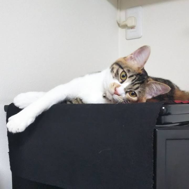 B531847a 35a9 4384 bc4e eeac71cd33ed 1638488821360