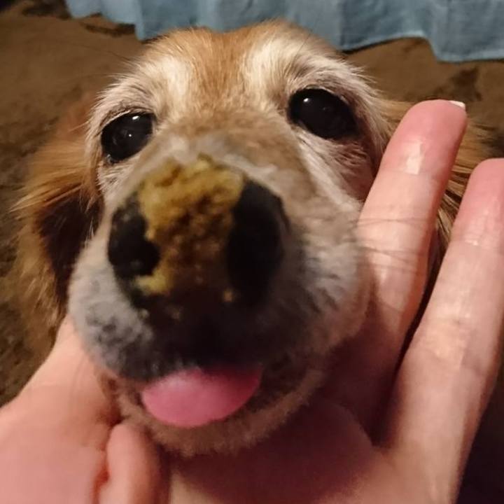 B531d444 394b 48ea 9b5a a9f93c514e1b 1567533753903