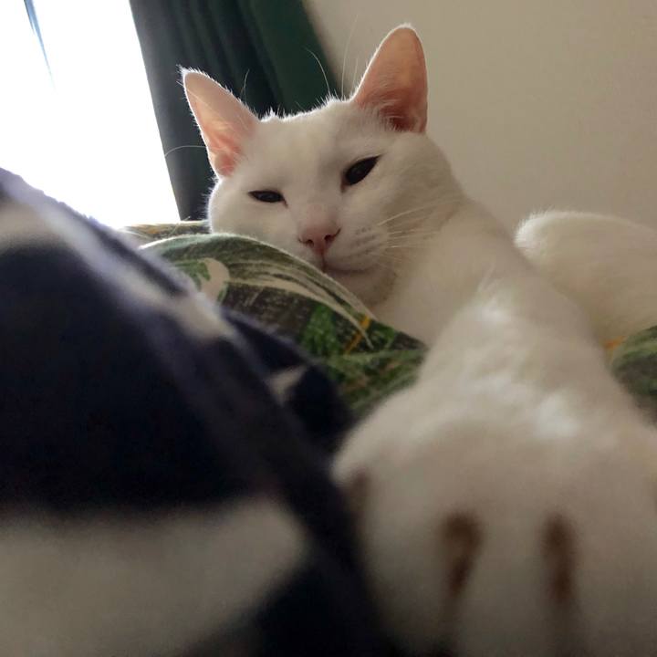 B531d51a b4a3 4094 a0a5 7ddcb3c122fd 1525037704604