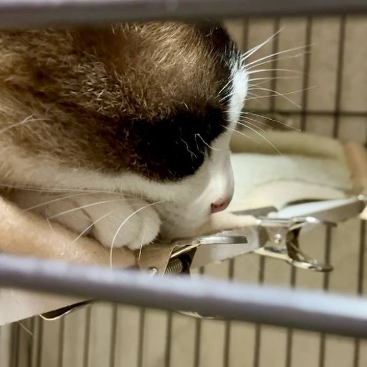 B531f9e2 0148 4f93 a1a2 691bc0ad6ed2 1747734410689