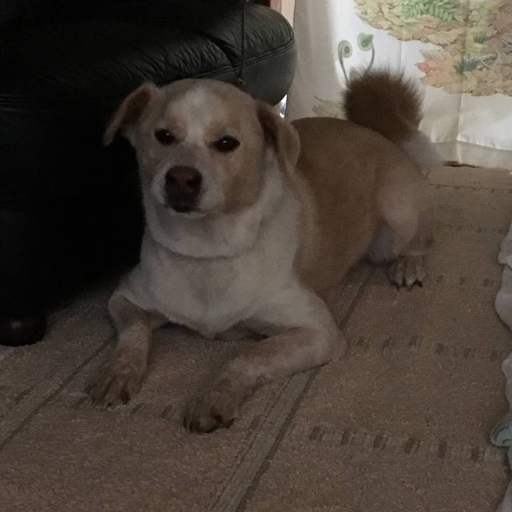 B531fc8d d9fb 467d a354 e8ea8da053f3 1529673978923