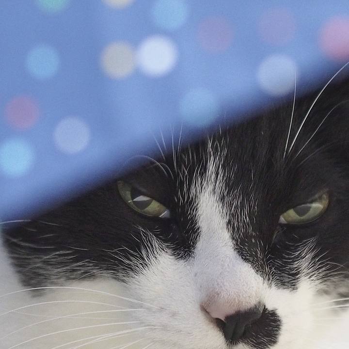 B53219f7 905a 4ff7 852f 21e633018d9b 1547631520705