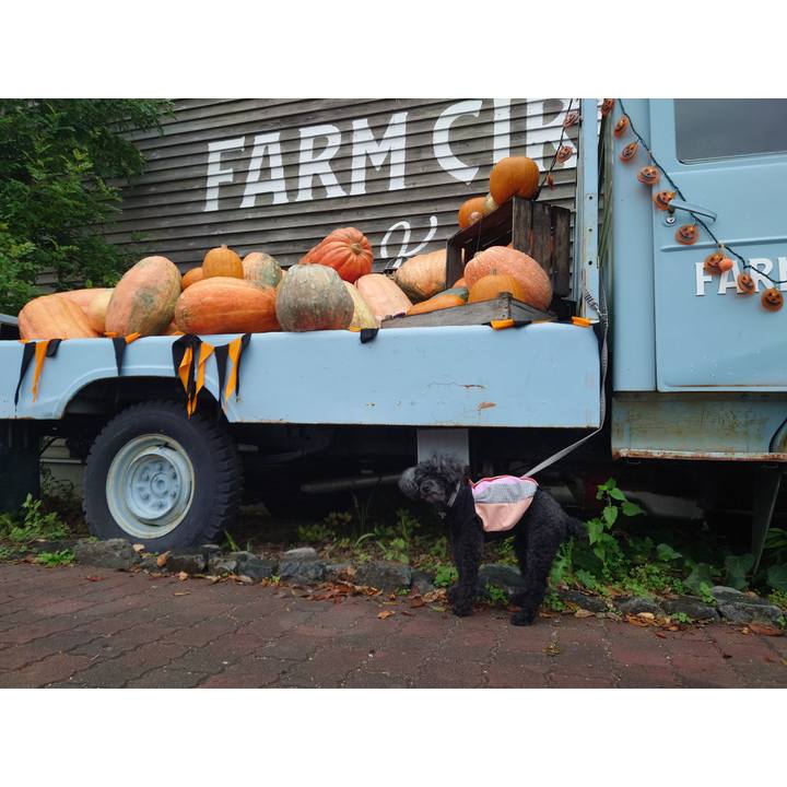 B5323b72 8a3e 41f3 90e5 2978c3cab599 1761127219668