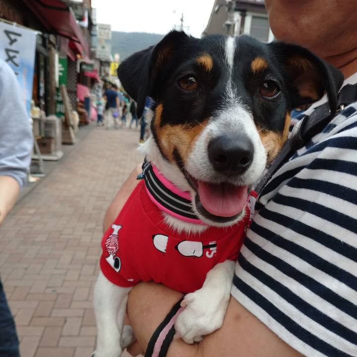 B5326ba3 a758 467a 9b6d 8e3de19f2c5d 1569977343538