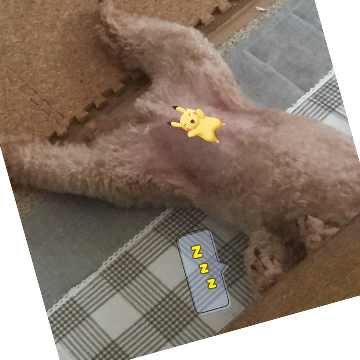 B5327f6b 6f4b 462d bb9b c35666239dae 1533256874832