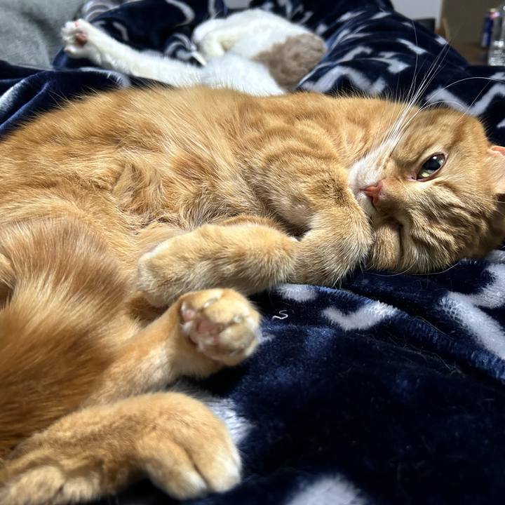 B532b004 d324 45d2 8dc5 5f1c9340d9dc 1742648356950