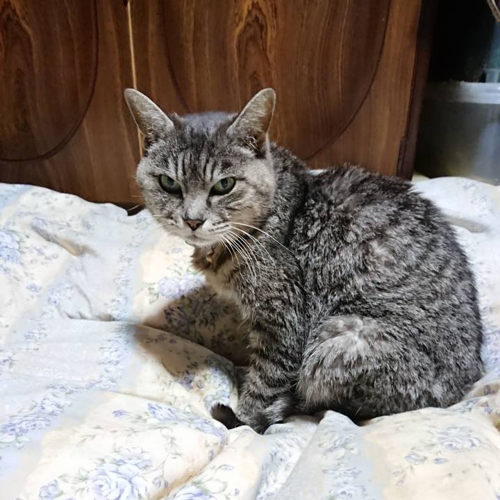 B532eb71 3f48 4bbc b5e0 36a31cf18e2f 1581767407188