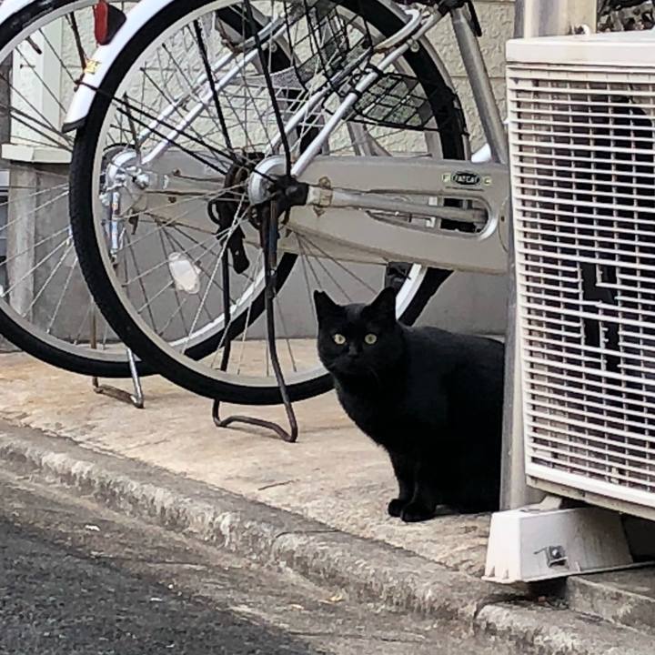 B532f977 5e23 40b0 8146 fa6c980c6176 1514751851571