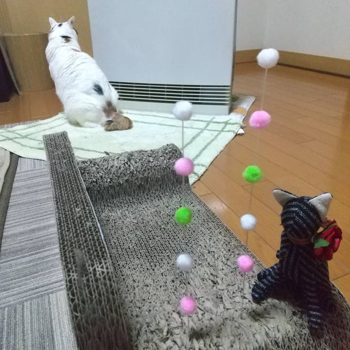 B5330ea6 c960 4372 a0f1 9b9ed51cfe1d 1674121353539