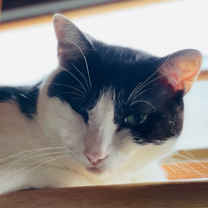 B533279d b3e2 495c ae8b 63cb0abd5626 1663640602660