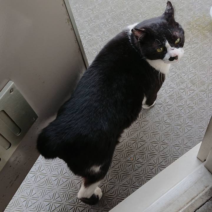 B5335400 6832 40bd 99a4 37bf9ba988f6 1581730417515