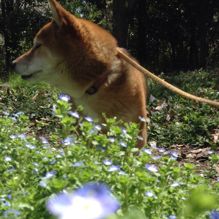 B5338afa f0af 4e84 9469 84fd68576b3b 1522385667584