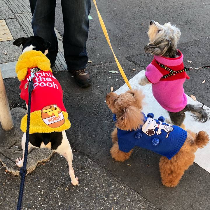 B533c27f 16e3 4218 b7d3 5f01913acb40 1512180712813