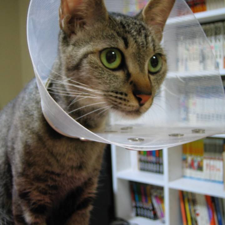 B533efef 2384 4d09 b696 0308ef513770 1556167427038