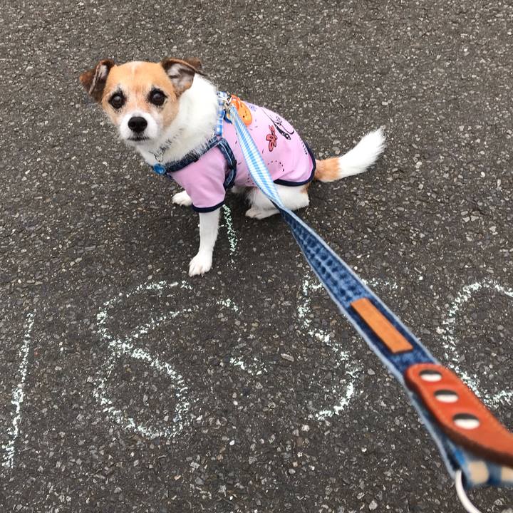 B5341b3f 4303 4fcc bf0d facd2ca63110 1562320204495