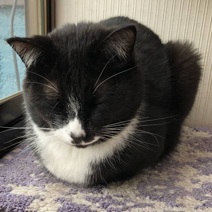 B534248b 30da 4f1a a62a f84f18ecc58d 1590376836739