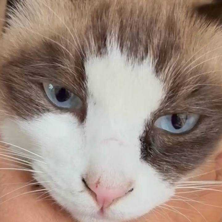 B5343411 b1c3 4bdf 80cb b1c2900245a7 1764210091348