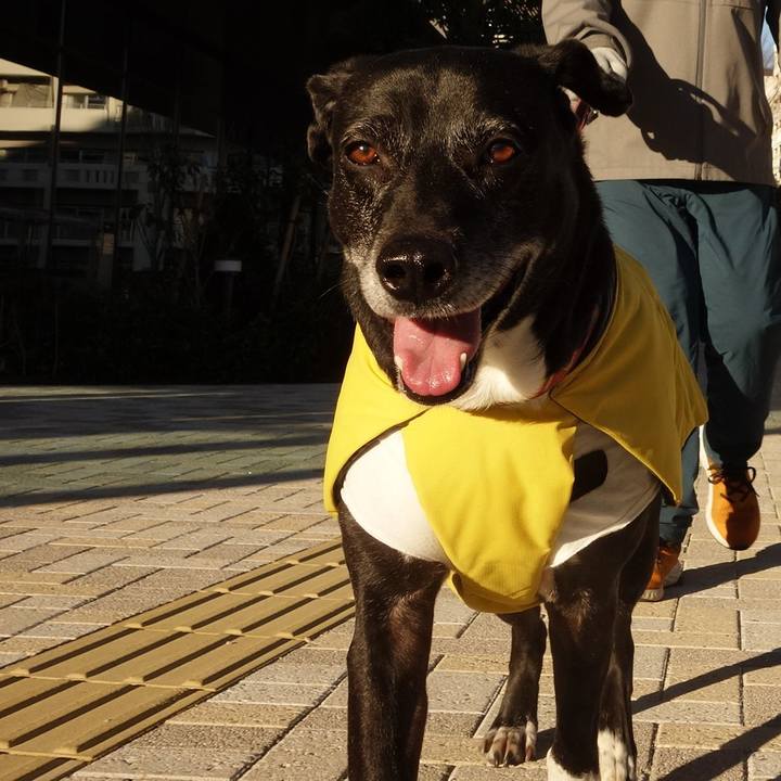 B5343a58 c6da 4b6c 8c5d be21bc1ad399 1739233399930