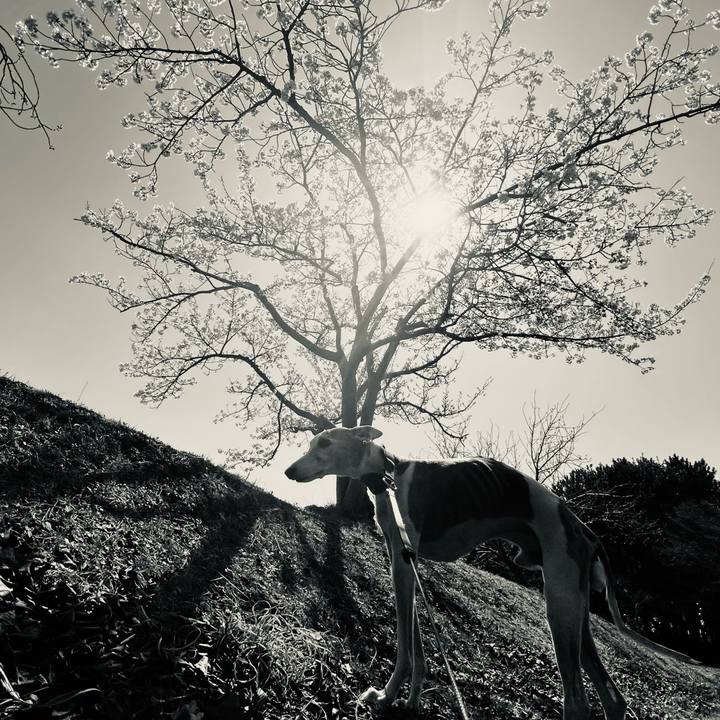 B53442f3 69ac 4baf af40 b31eaf52155a 1776413479422