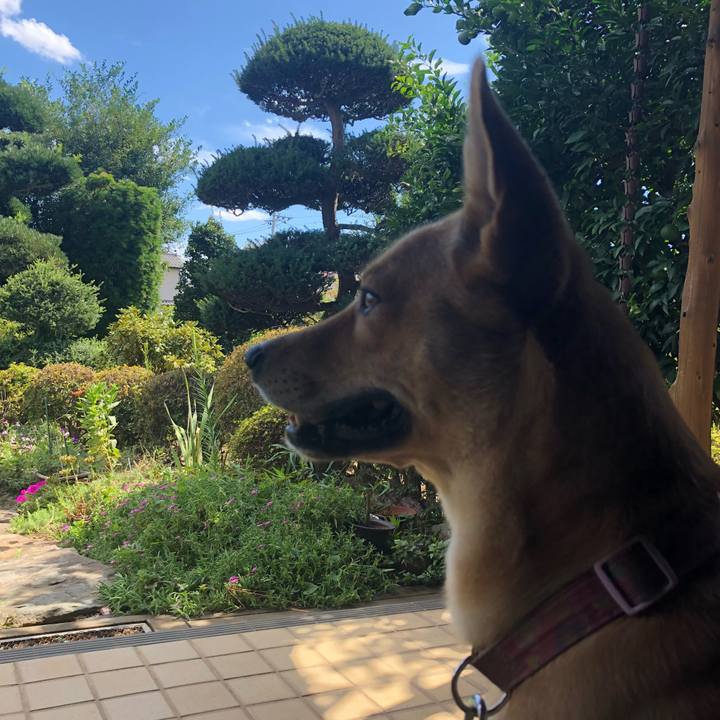 B534446c e62e 4318 9b10 e4e47151749a 1536466144662