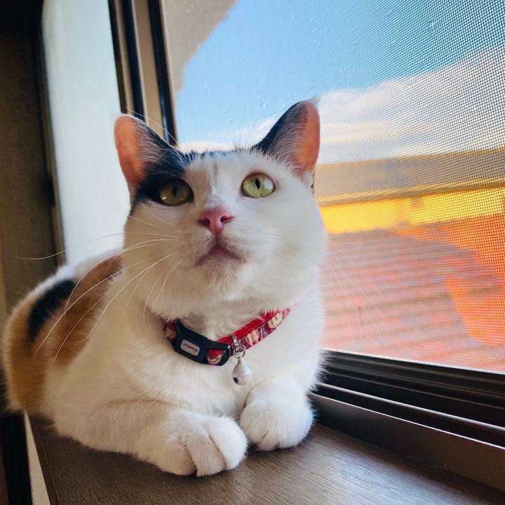 B5344aac 2f60 45c8 9661 5b23463253ab 1659610236587