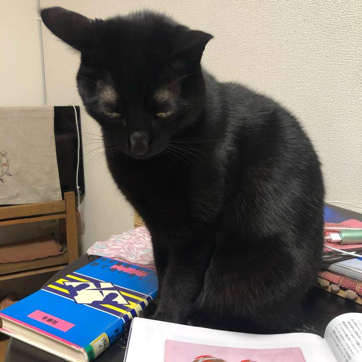 B5345e02 2284 4138 83ab 1a7bc7b9c50c 1575889074700