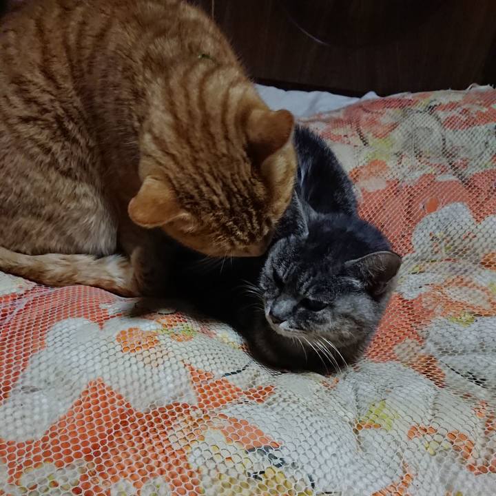 B53460ea 1b3c 482e 8f28 cb88f5012df6 1581422300083