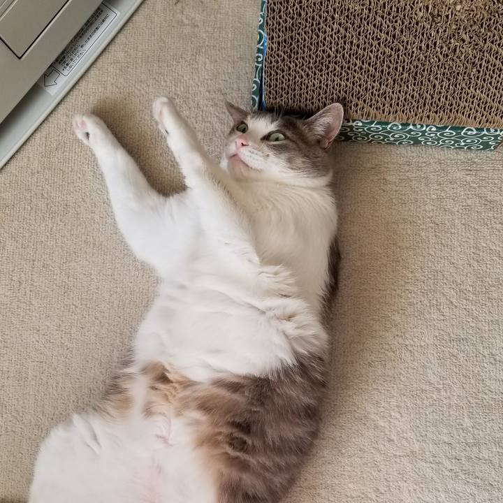 B5347e0c 71a1 48db a1cc 45a03f4f364f 1676688809392