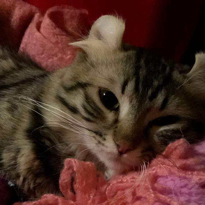 B5349e2f fafe 4a0a a1be 97925b1dc978 1515850637151