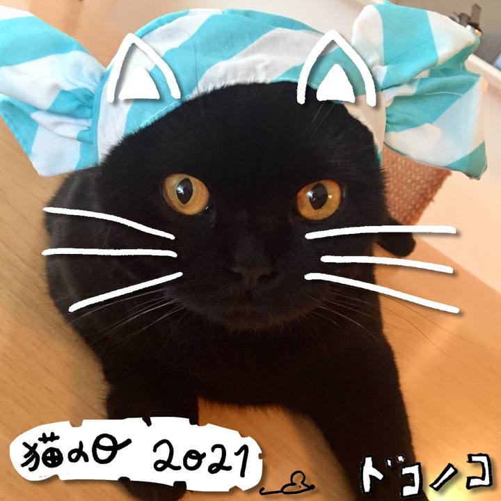 B534d25d dee0 46a2 91f9 23b3068e877f 1613962946160