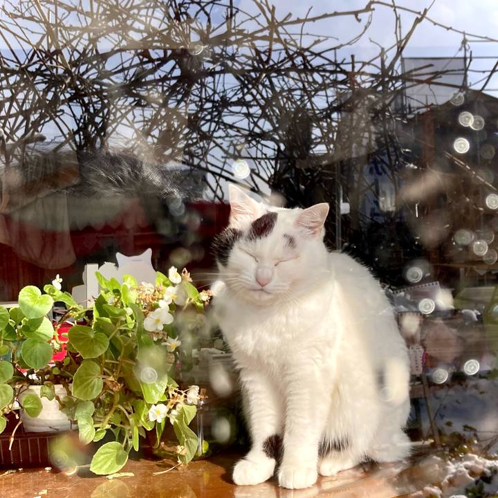 B534d646 eb94 48f8 bdb9 e9b3ada615ad 1645761883081