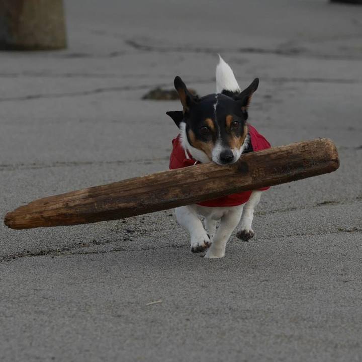 B53508b3 ccc7 4acd 8903 45cfbd33e2a1 1613460736987