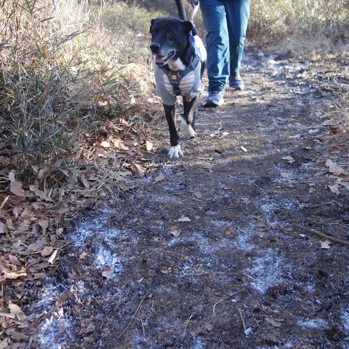 B5351338 382d 4f80 aab4 e93b03d2cbaf 1706231089319