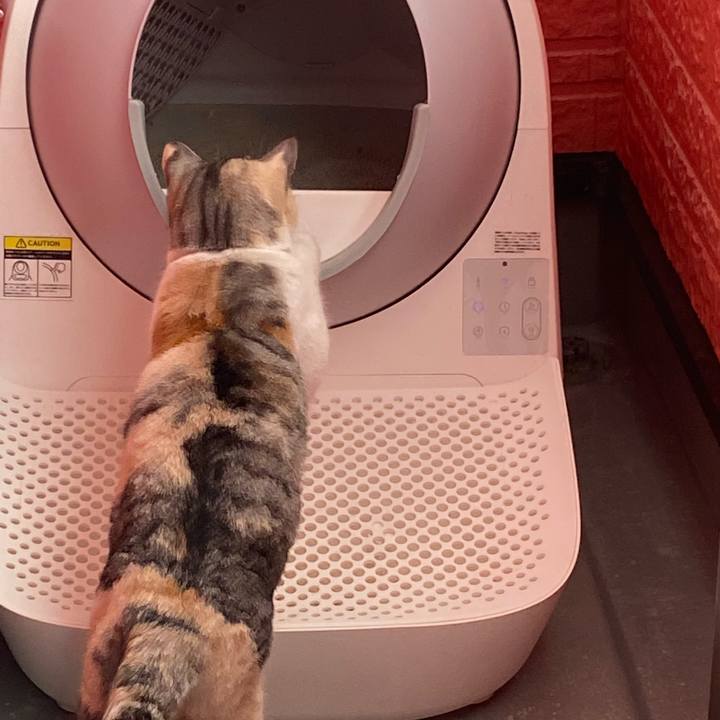 B53530a6 3674 43a8 a198 513d281f68fc 1644708490866