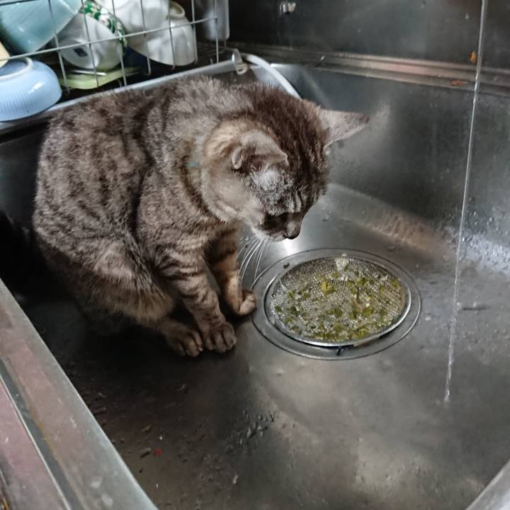 B5356c82 4d04 431e 9eba 1dd9593711ea 1563959885981