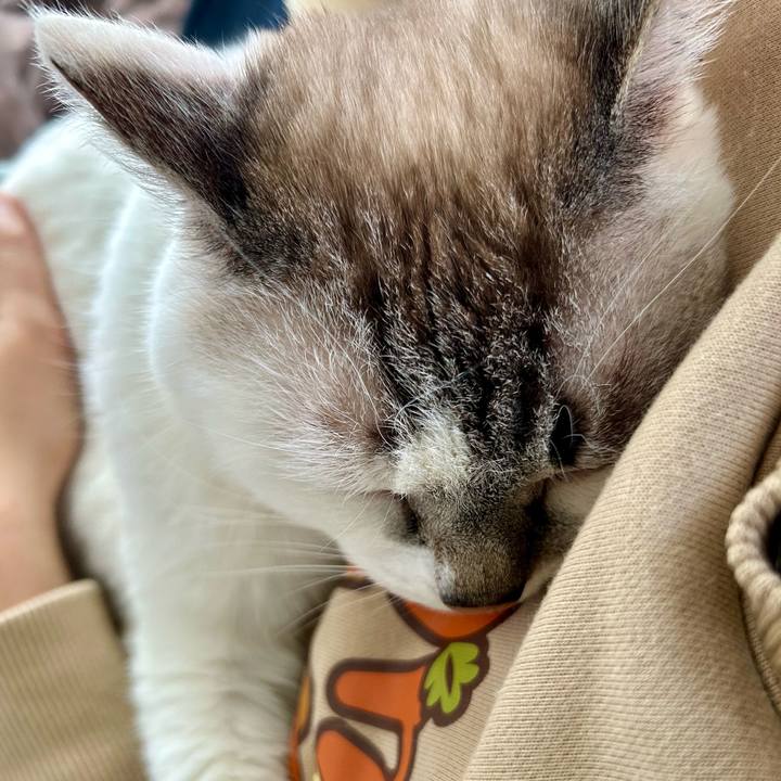 B535848d d3f7 4496 a6c0 8b1f209227f8 1772337192053