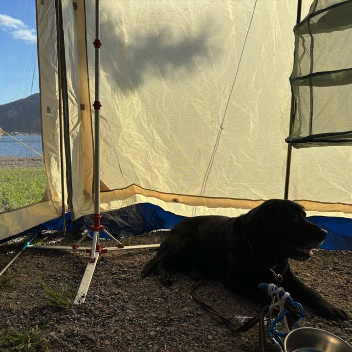 B535ab7f 5861 46d0 86e6 f02d653c6089 1758543634529