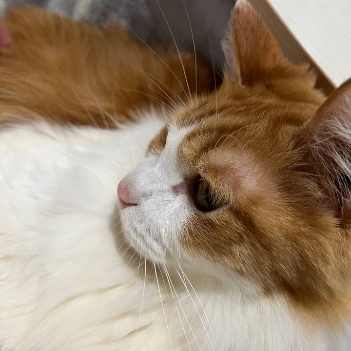 B535af60 10db 4ef5 b139 8ea5a59ec54f 1636507984819