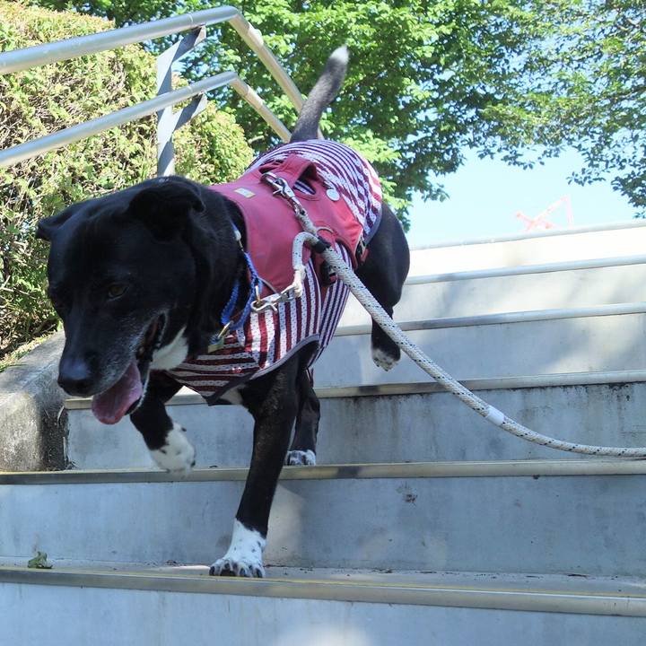 B535bc5d ccb4 4928 b297 0d8920a53fd8 1686964893518